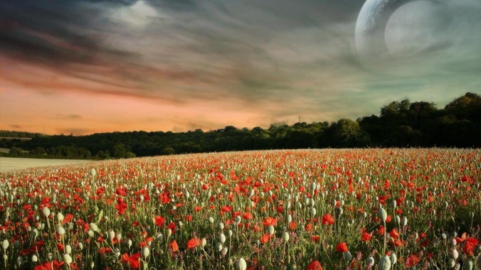 “哨兵模式”涉嫌泄密，你支持封杀特斯拉吗？